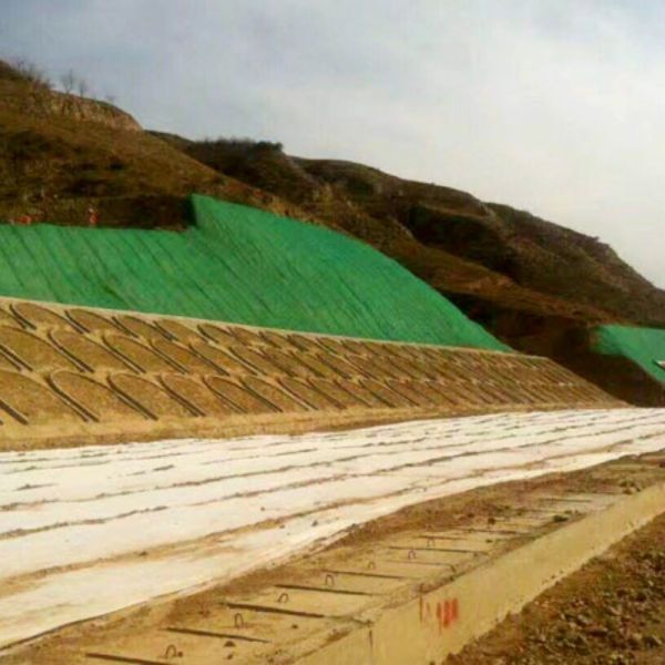 Long Life 3D Composite Drainage Geonet for Landfill Leachate Collection and Environmental Engineering