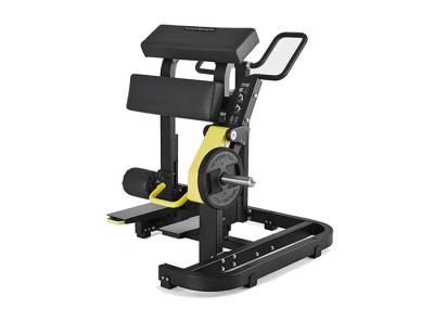 Palte carregou a posição estável da segurança da onda de pé do equipamento do Gym da força do martelo