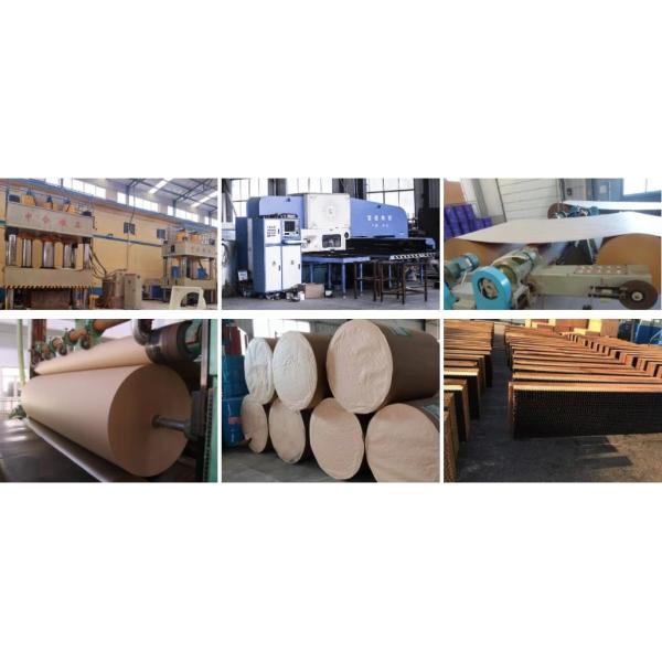 Hot Galvanized Steel Evaporative Cooling Pad Wall For Greenhouse Poultry Pig Farm