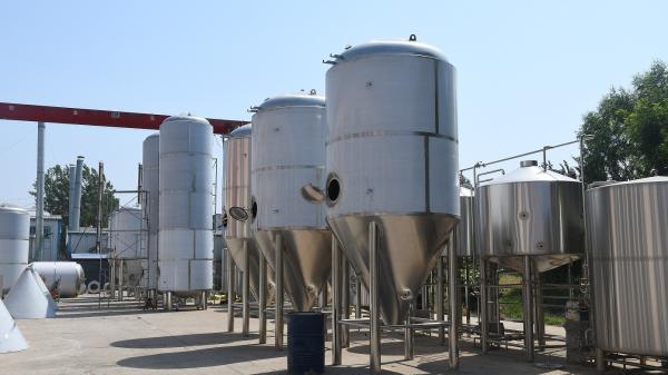 50L aos tanques de aço inoxidável da fabricação de cerveja da fermentação 5000L para o fermentador cônico