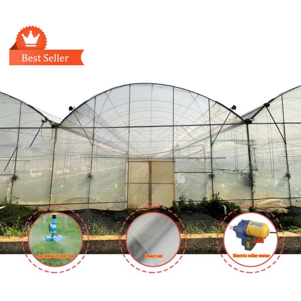 Large PE Film Greenhouse 50m Length 7-10m Span Width