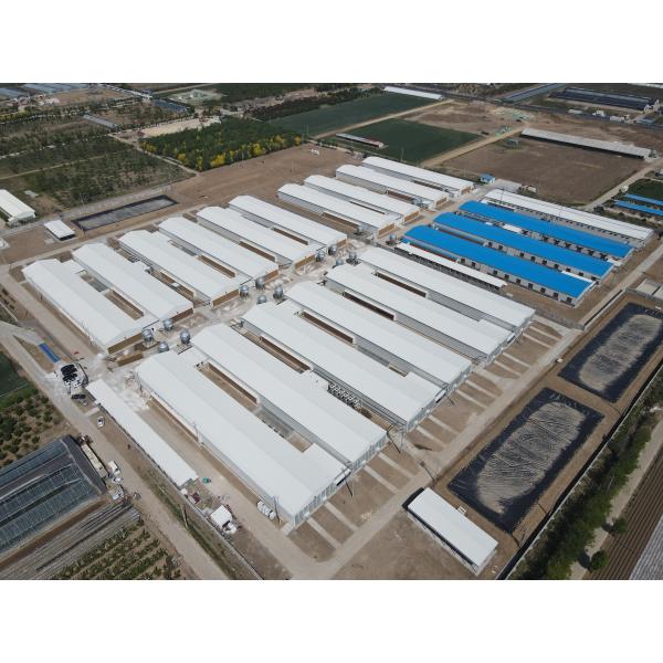 Промышленные стальные конструктивные здания Преfabricated Steel Poultry House Customized