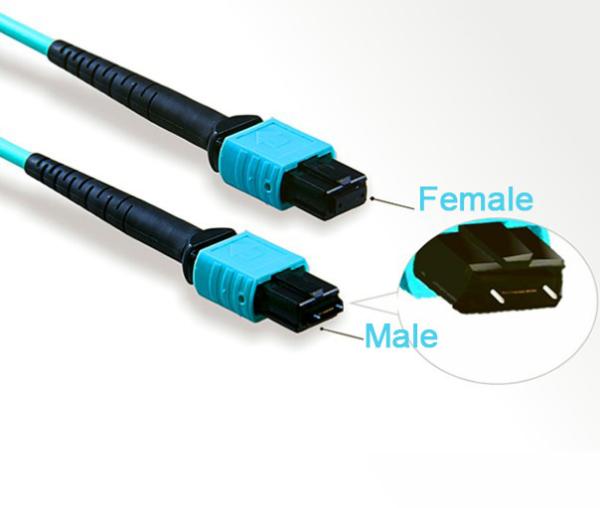10G 40G Fiber Optic Cable Patch Cord Assembly MPO To LC OM3 Breakout