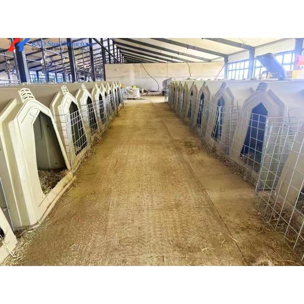 Granjas de ganado de acero fácil de instalar Edificio de granja de vacas prefabricado