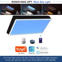 Energy-Saving Artificial LED Skylight Commercial LED Outdoor Lighting 3000K-6000K