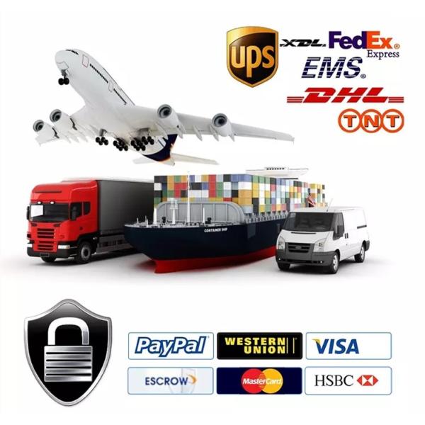 DHL Bulk Cargo Shipping Companies / LBC Shipping From China To Saudi Arabia Kuwait Dubai