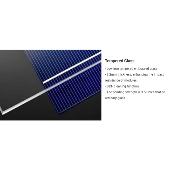 N-Type TOPCon Technology Monocrystalline Module with Double Glass and Bifacial Design