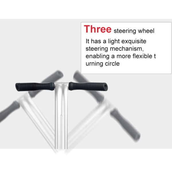 72V Two Wheel Segway Electric Scooter Self Balancing Chariot EcoRider ESOI-L2