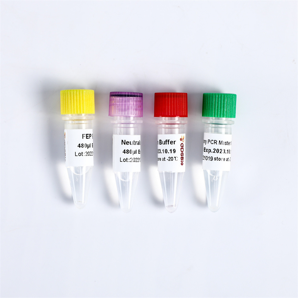 Библиотека ДНК конструкции библиотеки Illumina NGS быстрая плюс набор K004-A K004-B приготовления уроков