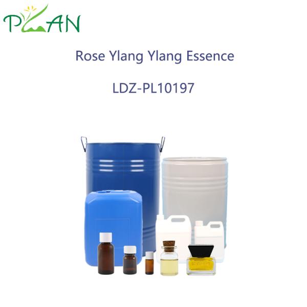 Plant Extract Essence Oil Rose Ylang Ylang Essence  For Perfume  Moderate Intensity
