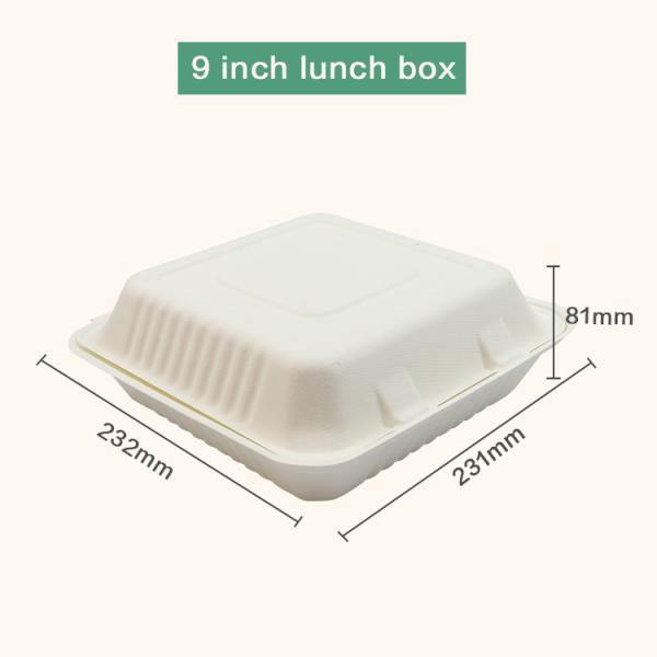 Biodegradable Food Packaging Compostable Tableware Bagasse