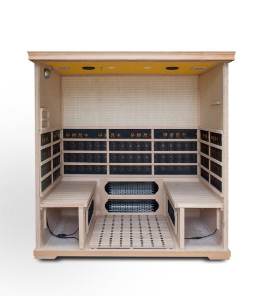 Computer Control Panel Hemlock Sauna Family Fumigation Whole Body Detox Sweating Infrared Lightwave Room