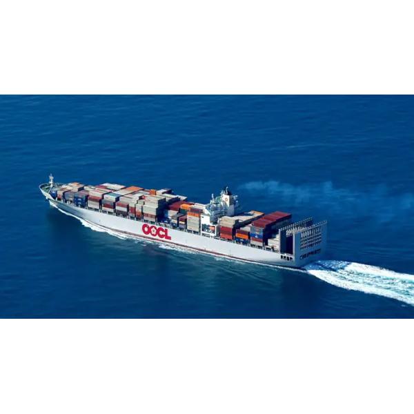 FOB Professional Freight Forwarder China To India 7x24hour