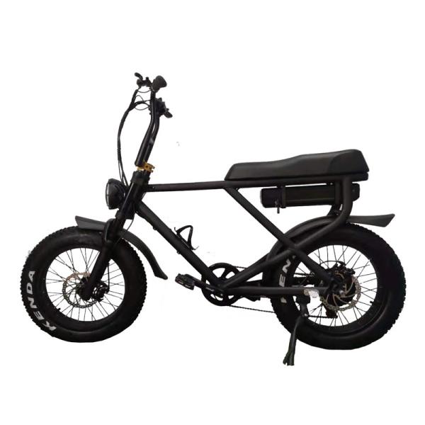 20 Inch Electric Fat Tyre Bike Mountain Electric Bicycle for Adult E Dirt Bike Electric Cruiser Bikes