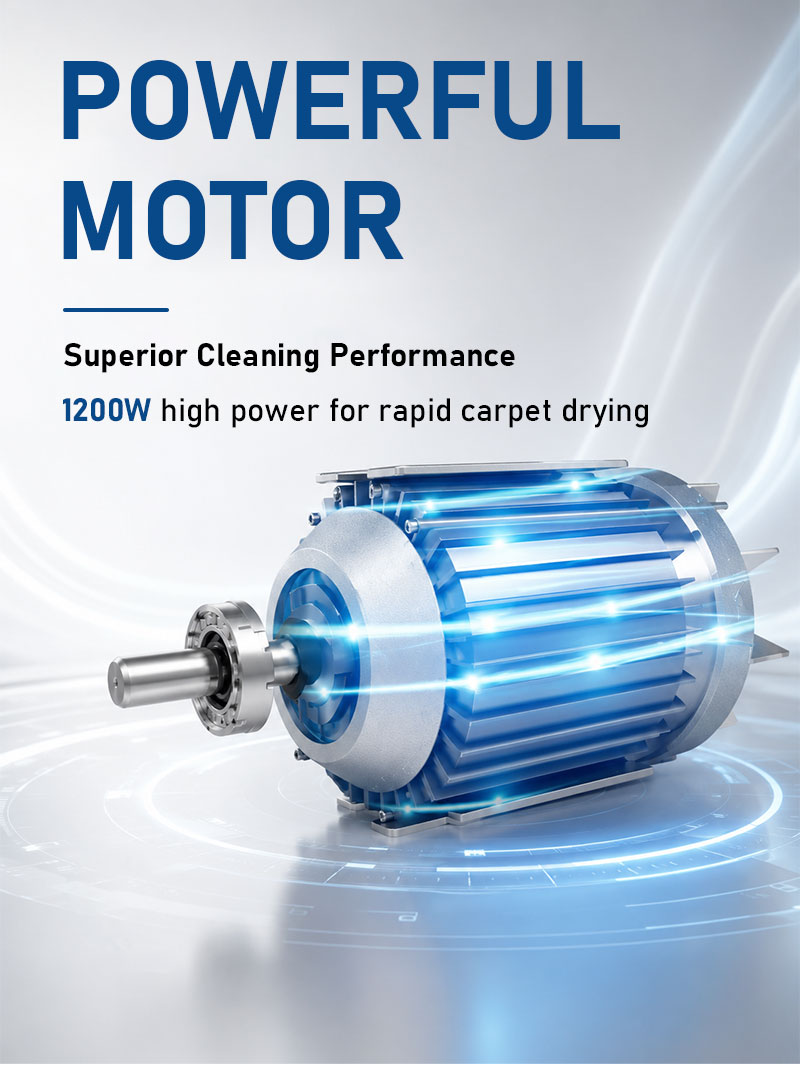Sell Well 220V Electric Carpet Cleaner 380mm Wide Efficient Clean Remove Dirt Cold Water Cleaning Machine
