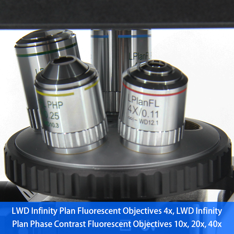 OPTO-EDU Trinocular перевернуло освещение биологического микроскопа WF10X PlA14.2605 Kohler