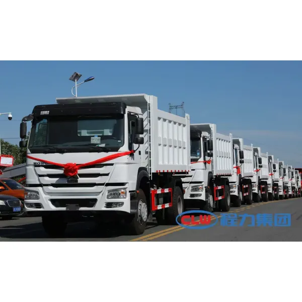 Shacman10t Sand, Gravel, Sludge, Fruit, and Tree Transportation Truck Factory Direct Supply