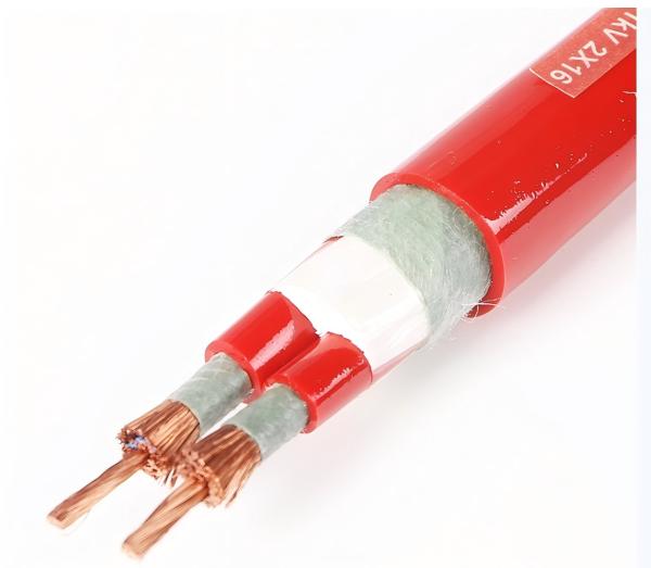 YGG, ZR-YGG Silicone Rubber Cable  2 Core Silicone Cable