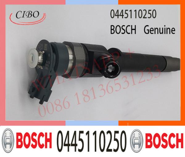 0445110250 Injecteur de carburant Bosch 0445110250 0986435123 0986435123 Pour FORD Ranger / Mazda BT-50 WLAA-13-H50 WLAA13H50
