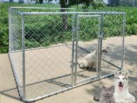 Chain Link en acier chenil pour chiens 1,5 M de hauteur galvanisée grande taille cas pour animal