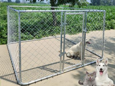 Chain Link Steel Dog Kennel 1.5M Height Galvanized Big Size Case For Animal