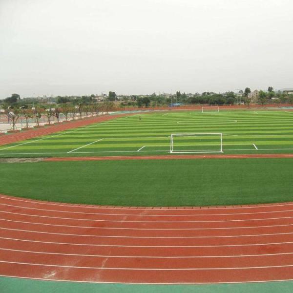 Outdoor Fake Grass Football Field  For 11 People Standard Game Stadium