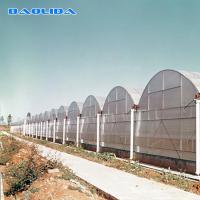 Hot Dip Galvanized Steel Plastic Multispan Greenhouse For Four Seasons Planting