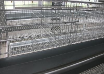 H Type Layer Chicken Cage Full Automatic Open House Battery Cage System