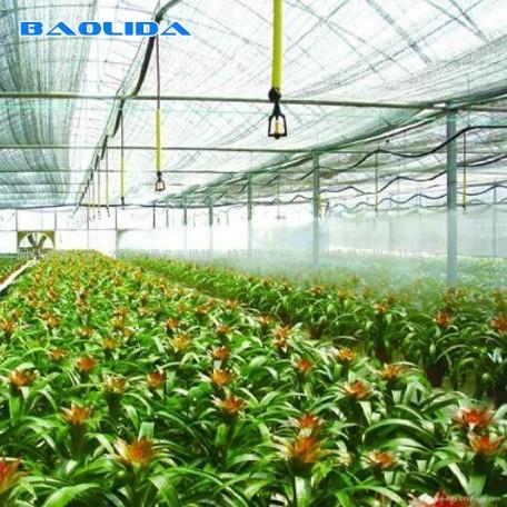 A ventilação moderou o tipo isolado galvanizado quente de vidro estufa de Venlo