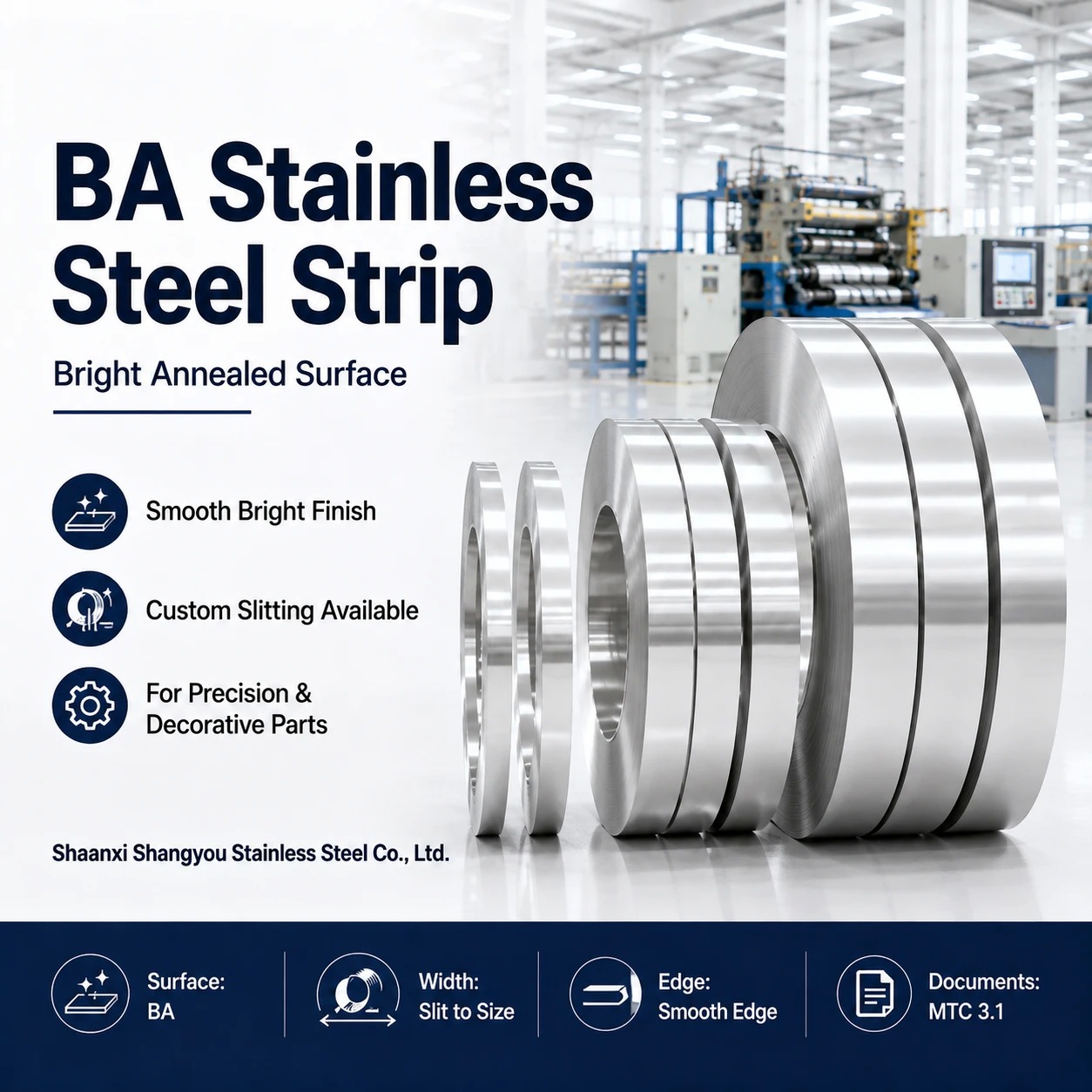 Stainless Steel Strip