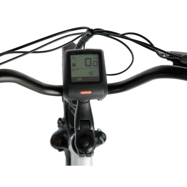 DOMANCA 750w Lady Electric Bike Sensor Smart Type and 18 Speed Gears for City Riding