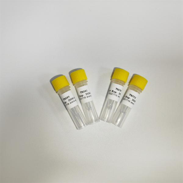 100 rxns NGS Library Construction PCR Amplification TN Primer Index List-A K211-A