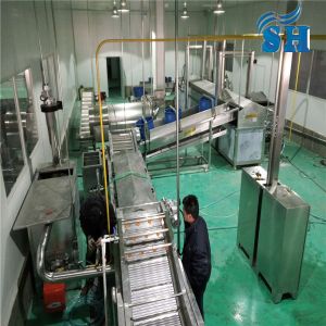 Potato chips making machine