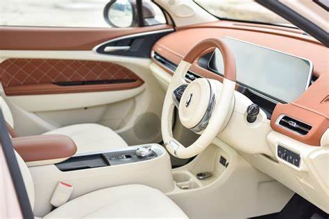 150km/h ECO Friendly Electric Vehicles 400KM ORA Good Cat Pure Electric Cars