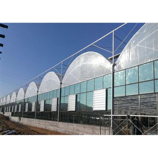 Ecological Plastic Film Greenhouse Heavy Snow Resistance For Tomato Planting