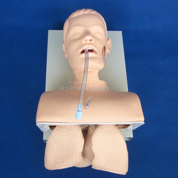 Electronic Tracheal Intubation Training Model with Inflatable Lung NG Tube and Suction Simulator Ideal