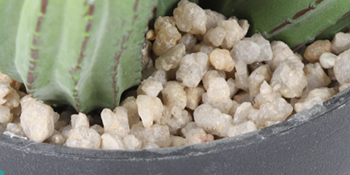 Artificial Succulent Plants - Realistic Artificial Flowering Cactus, Fake Succulent Plant Decor for Home Office