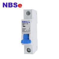 Disjoncteur micro simple de Polonais Mcb 2P 32A 6kA