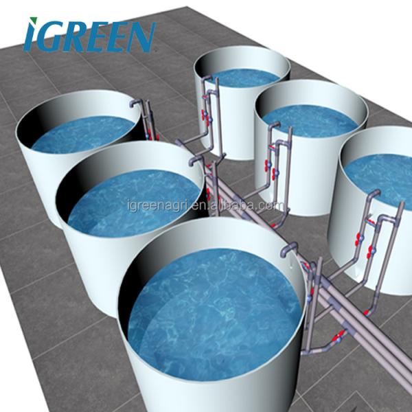 Shrimp Recirculating Aquaculture System Easy Installation Ras System Fish Farming