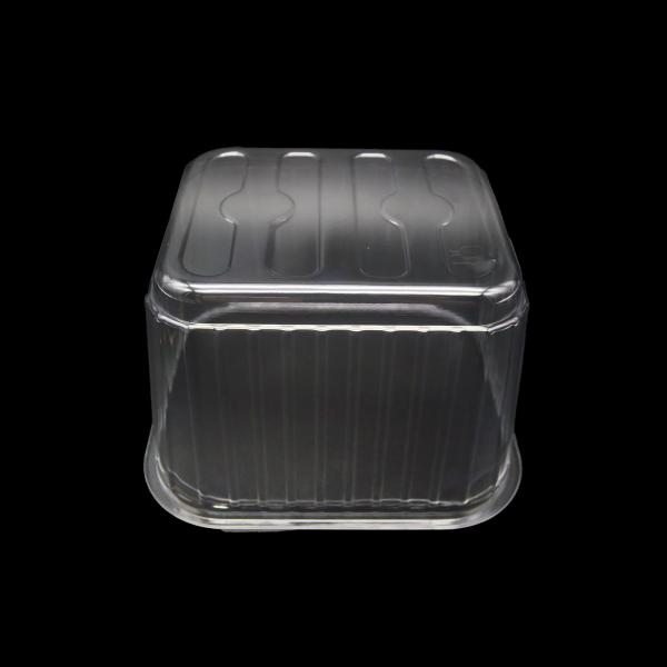 Food Grade Clear PET Containers For Fruits Vegetables Custom Deep Dish Plastic Packaging