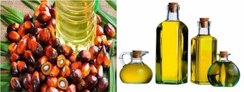 Palm Fruit Red Palm Oil Press Machine for High Productivity Palm Oil Extraction Processing Plant Competitive Cost