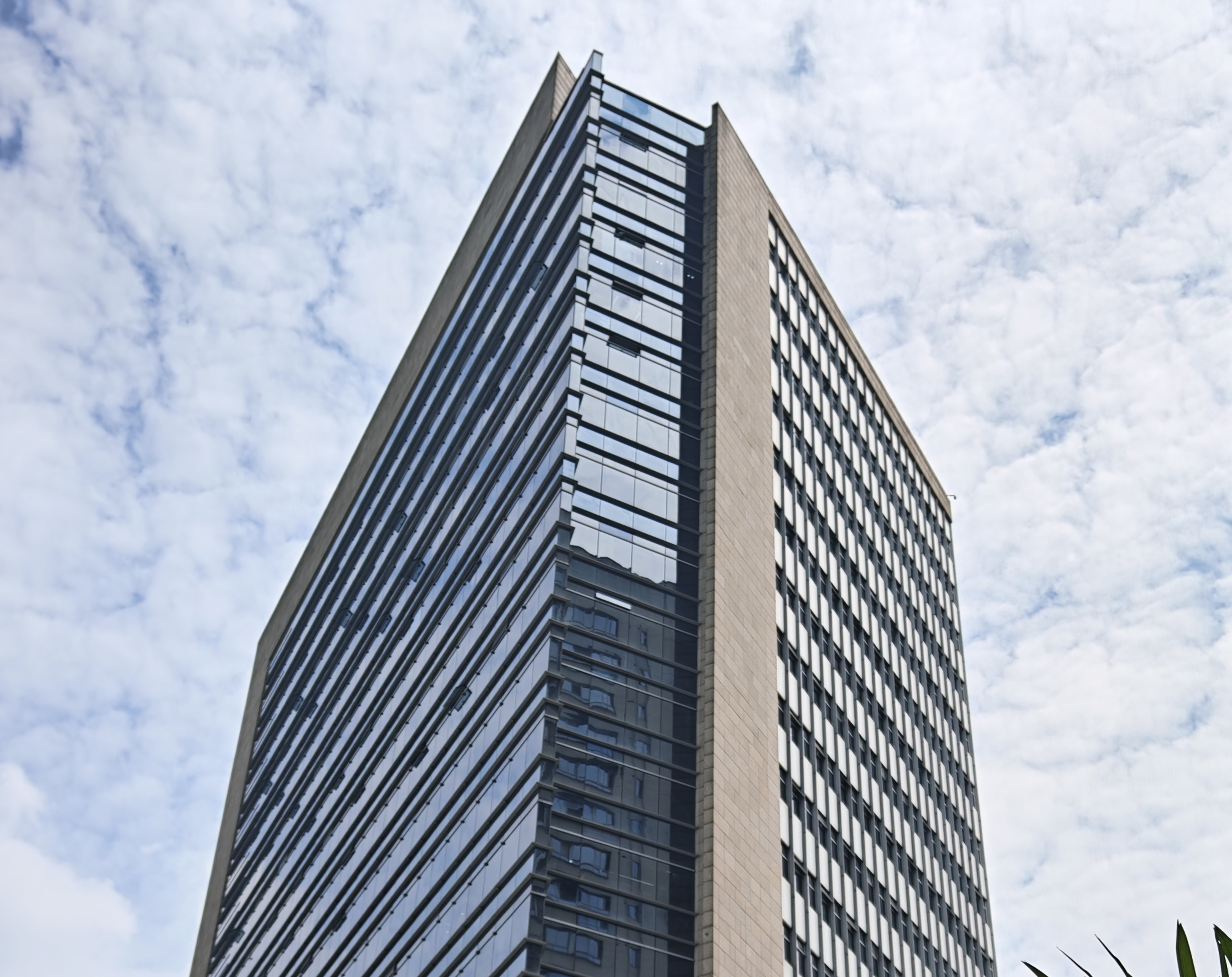Chongqing Kingwest Import & Export Trading Co., Ltd.