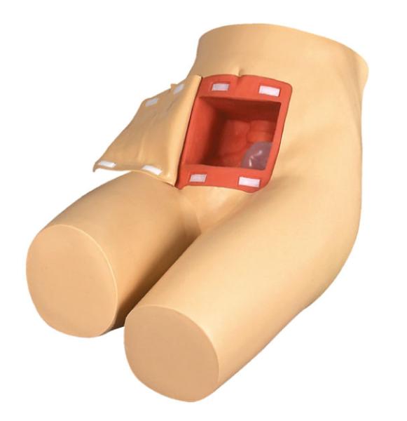 Lifesize Nursing Manikin and dissassembled enema and defecation auxiliary simulator