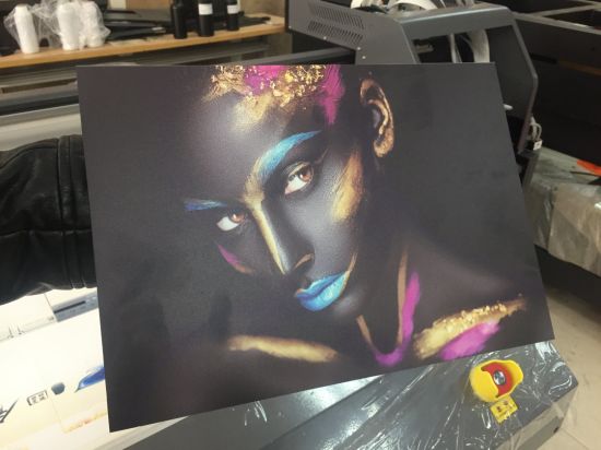 Commercial UV Digital Printing Machine Dtg Dvd Cd Printer RoHS Approved