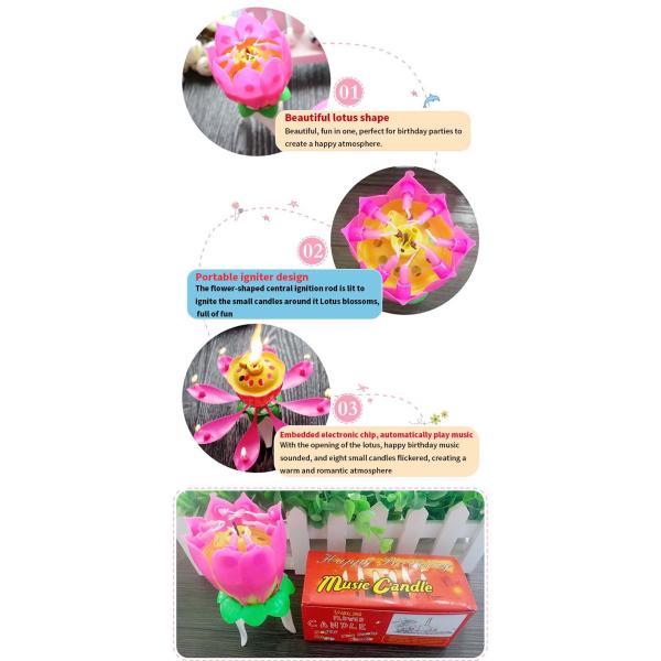 Multicolor Spinning Musical Candela de aniversário Flor Para Celebração