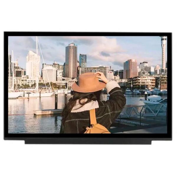 1920x1080 Tablet LCD Screen 30 Pin EDP 13.3 FTF IPS Viewing Angle