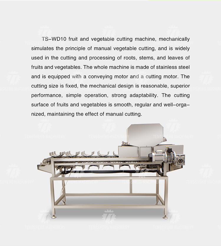 спецификации отрезая машины дыни салата огурца спаржи тыквы 380V 150KG Luffa горькие можно зафиксировать
