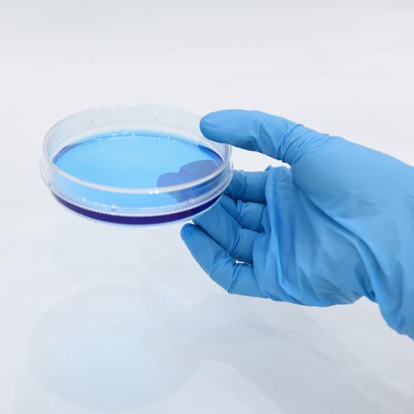 Одноразовая тарелка для культуры клеток PS круглая 35 мм 60 мм 70 мм 90 мм 100 мм 120 мм 150 мм