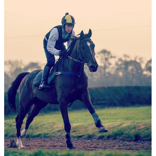 Customized Logo Safety Padded Lightweight Vest for Jockey Comfortable and Protective