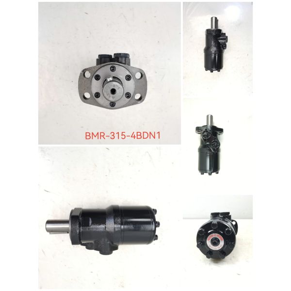 Hydraulic Gear Motor BMR-315-4BDN1 Many Curves role Radial Pistion hydraulic Motor Operating Pressure for Heavy Machinery